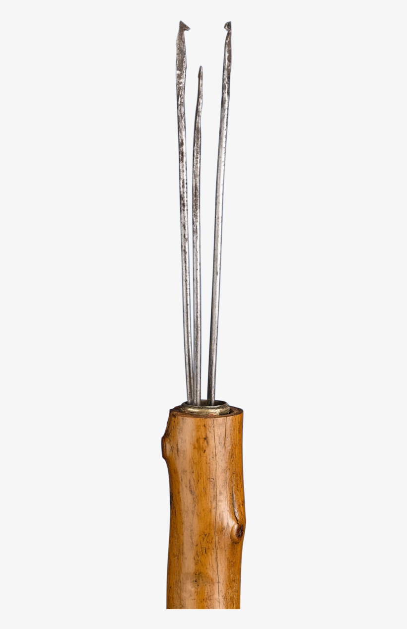 Fishing Spear Cane - Fishing, transparent png