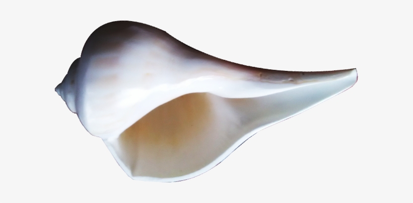 On The Occasion Of Lord Krishna's Birthday On 25th - Wooden Spoon, transparent png