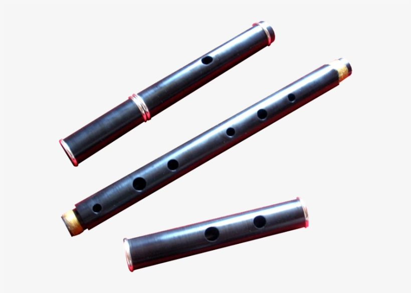 Delrin Flute - Des Seery - Zoom Video Communications, transparent png