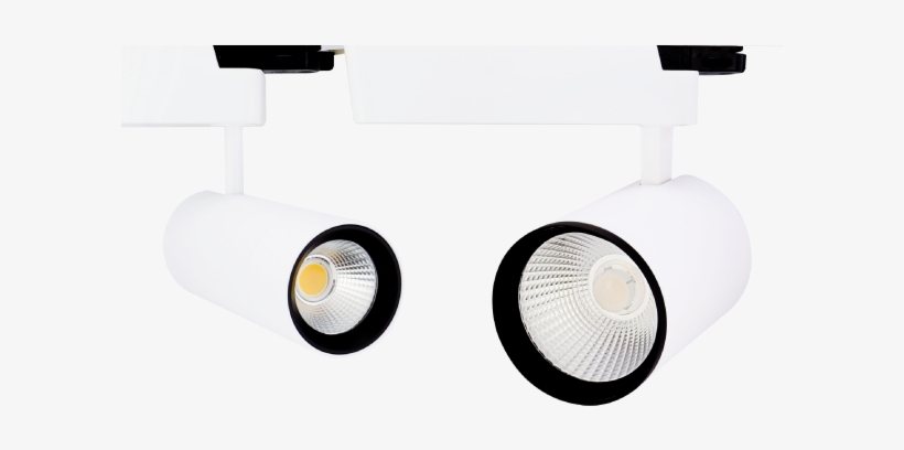Weds R' Spotlights - Light, transparent png