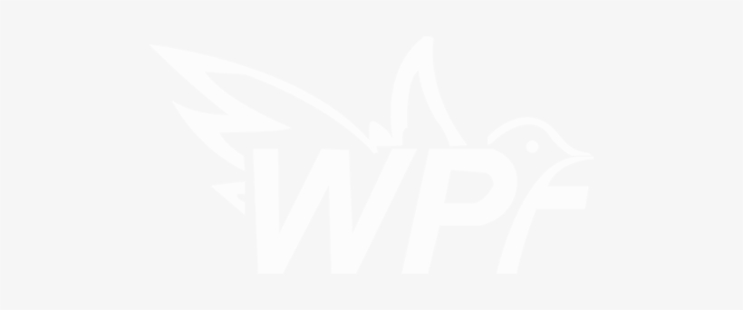 White Pigeon Films Is One Of India's Fastest Growing - White Pigeon Films, transparent png