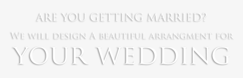 Wedding-text - Carnicerias El Jarocho, transparent png