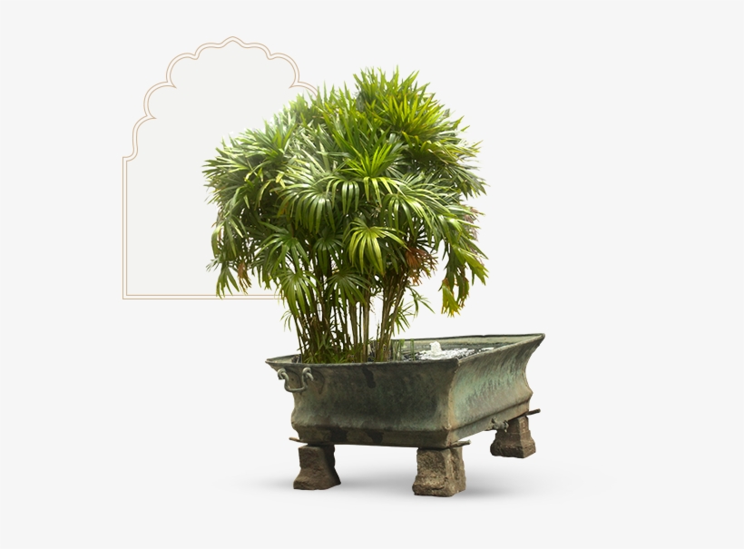 The Badam Chowk Is One Of The Two Principal Courtyards - Flowerpot, transparent png