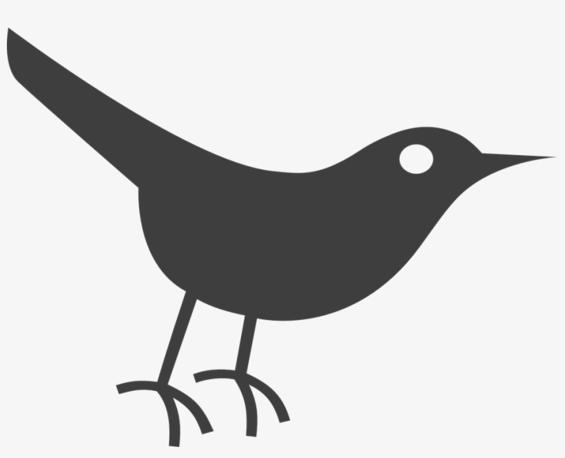 Twitter Bird Icon, transparent png