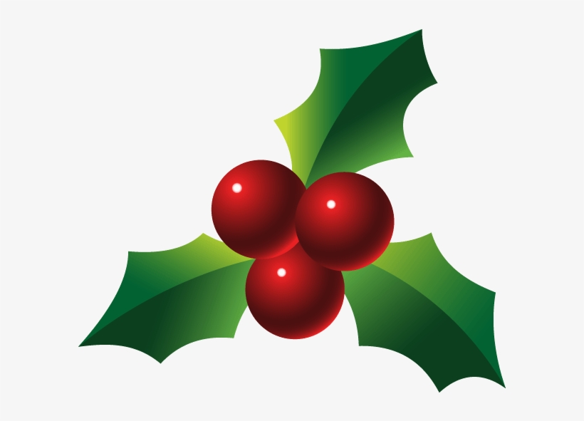 Holly Images Free Christmas Holly Download Free Clip - Holly Berries, transparent png