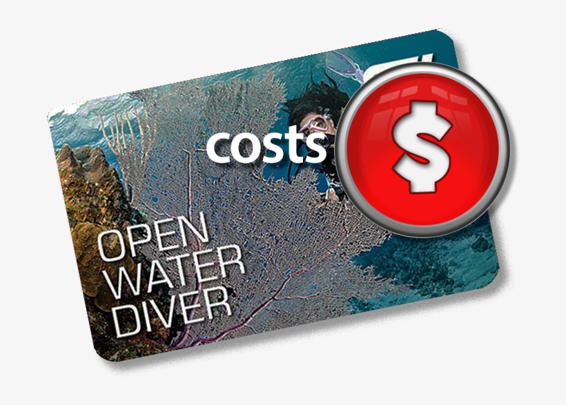 The Good News Is That How Much You Will Spend Learning - Water, transparent png