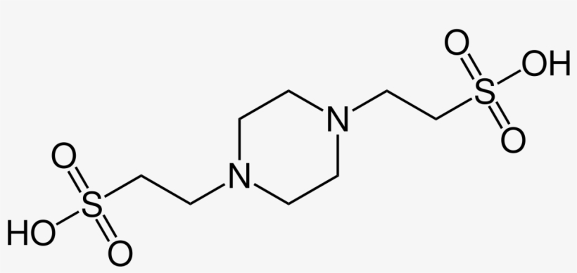 File - Pipes - Svg - Quercetin 3 O Β Glucopyranoside, transparent png