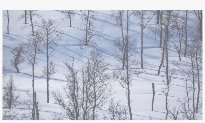 Welcome To Rok Stoves - Multi-fuel Stove, transparent png