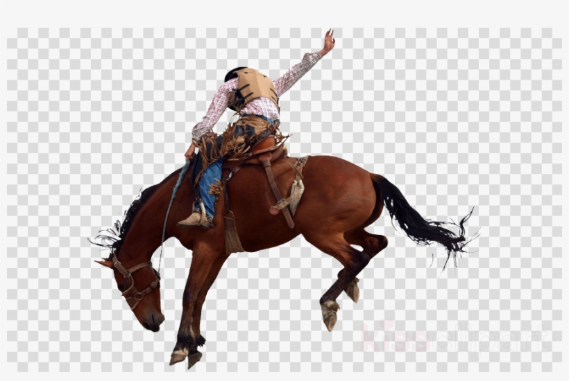 Download Rodeo Bucking Bronco Clipart Horse Bronco - Rodeo Horse, transparent png