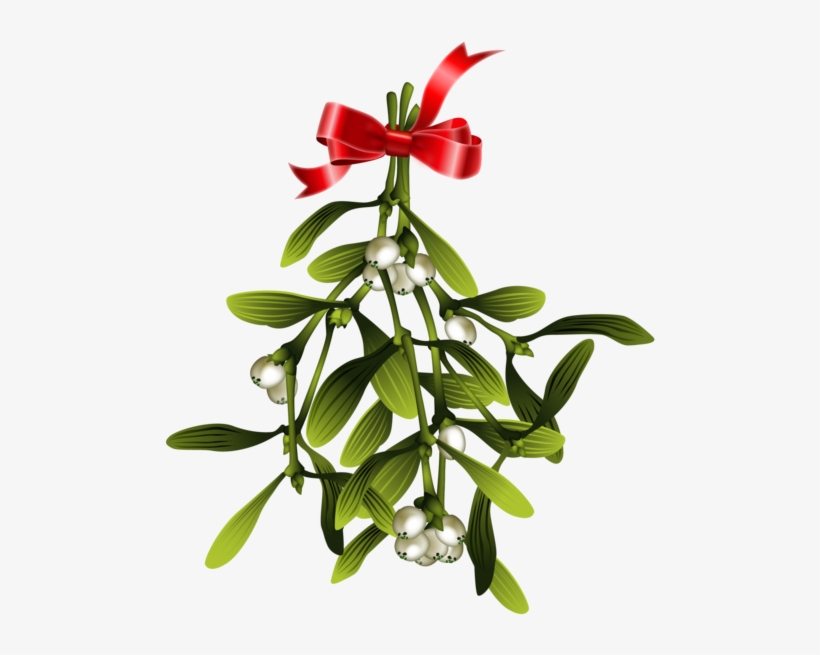 Mistletoe Christmas Wish, transparent png