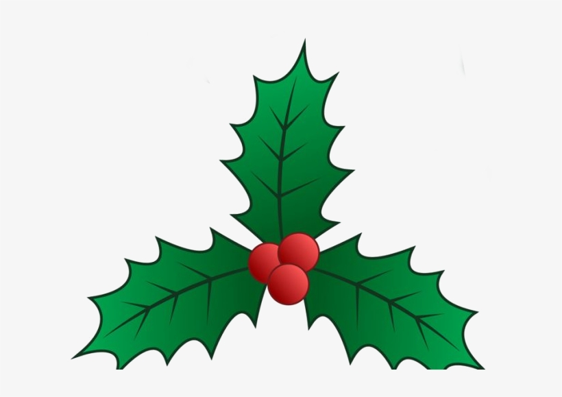 Mistletoe - Clip Art, transparent png