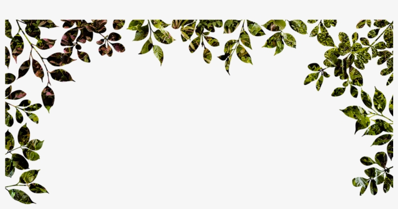 Sustaining Beauty - Davines, transparent png