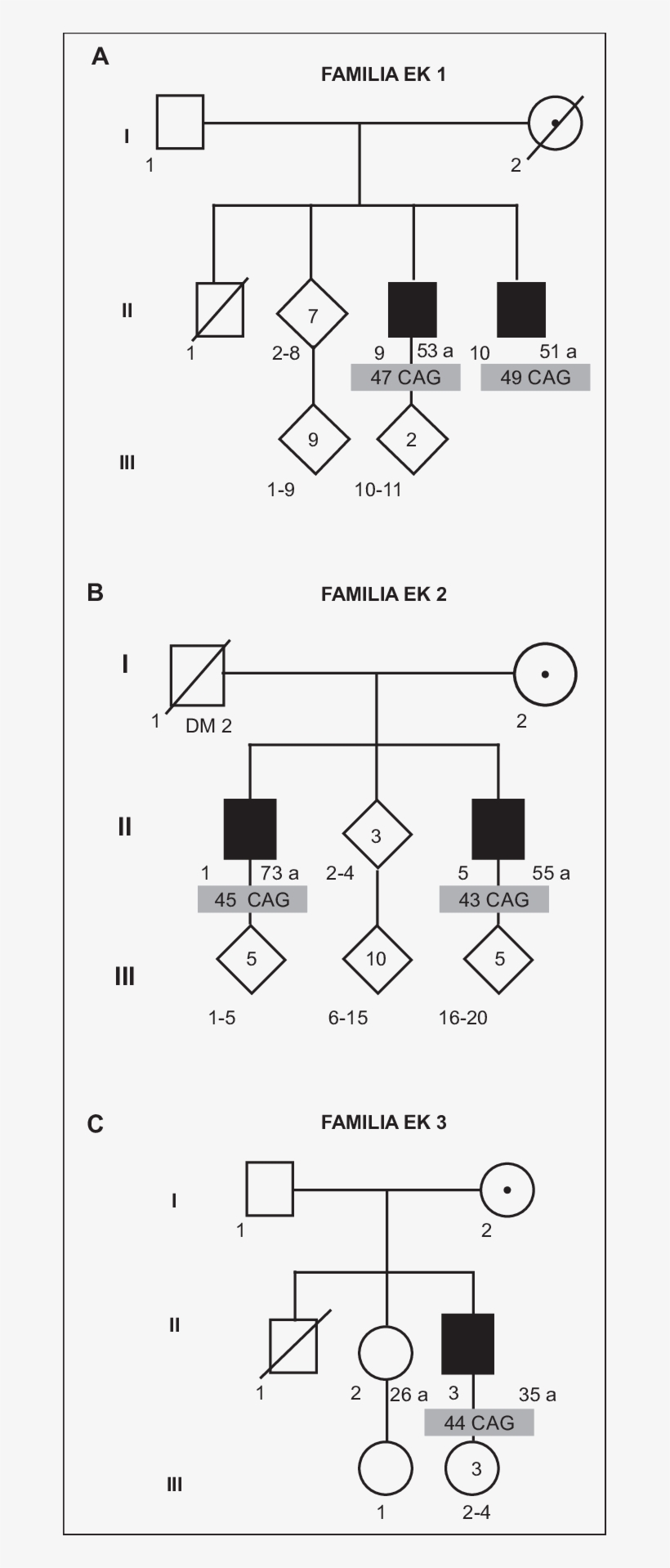 Heredogramas De Tres Familias Que Muestran Cinco Individuos - 3 Familias, transparent png