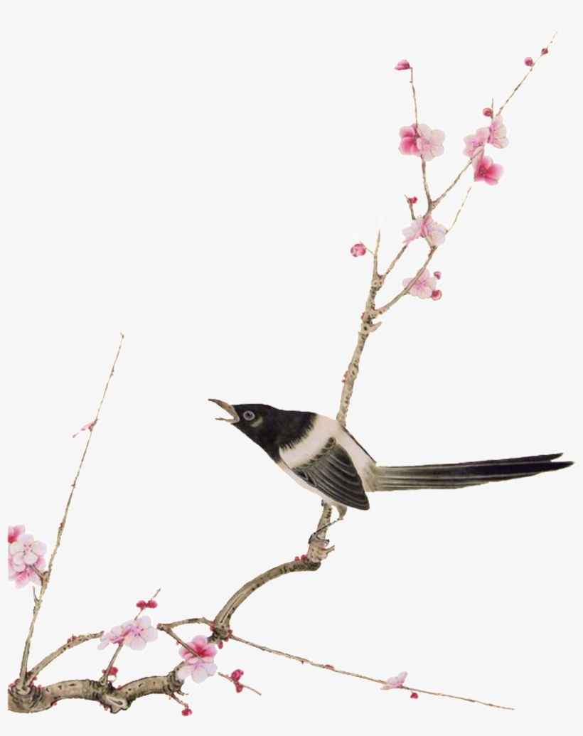 El Pájaro Elementos En Las Ramas - Bird-and-flower Painting, transparent png