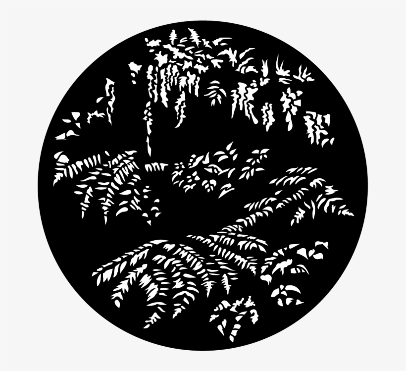 More Views - Waterford Fc, transparent png