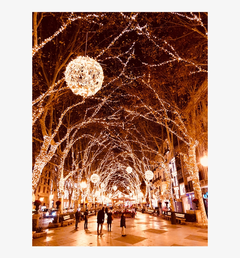 How To Shoot Outdoor Christmas Light Backgrounds - Christmas Lights, transparent png