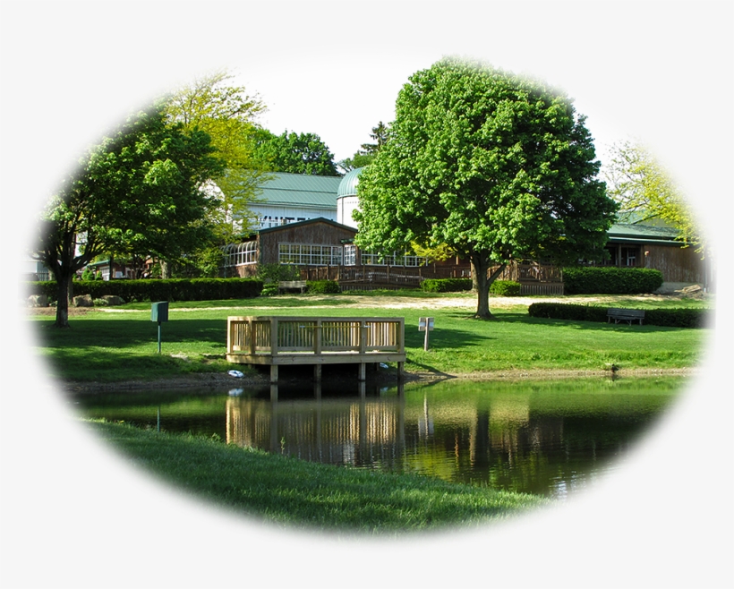 White House Fruit Farm - White House Fruit Farm 5k, transparent png