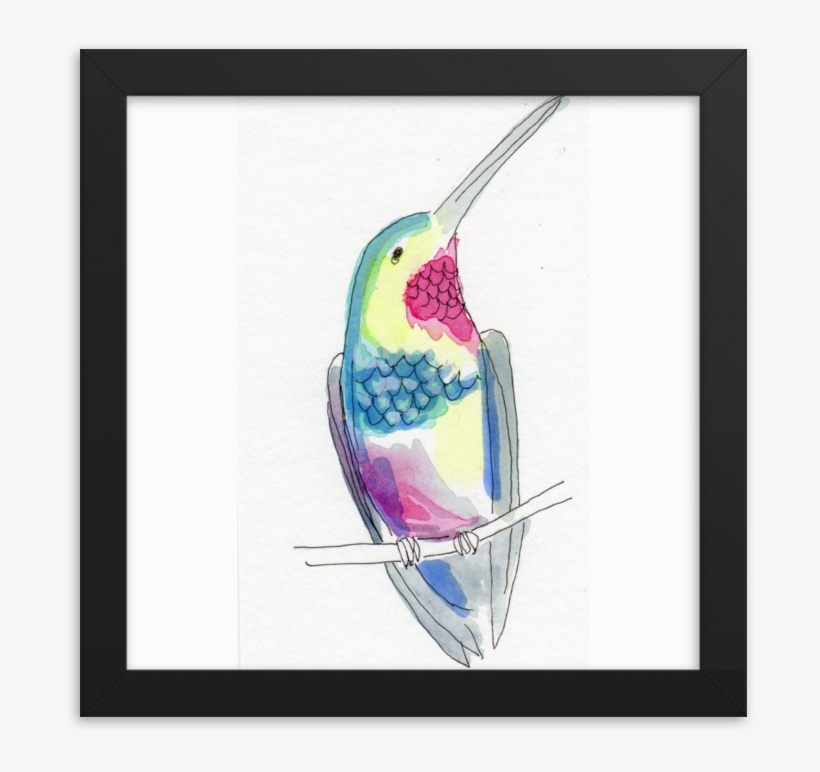 Hummingbird C Jbethmann 2018 Mockup Transparent Transparent, transparent png