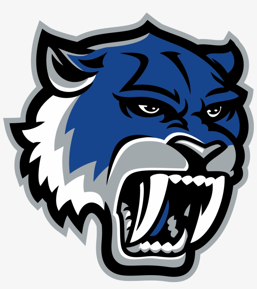 Image Of Robert Vela High School Mascot, transparent png