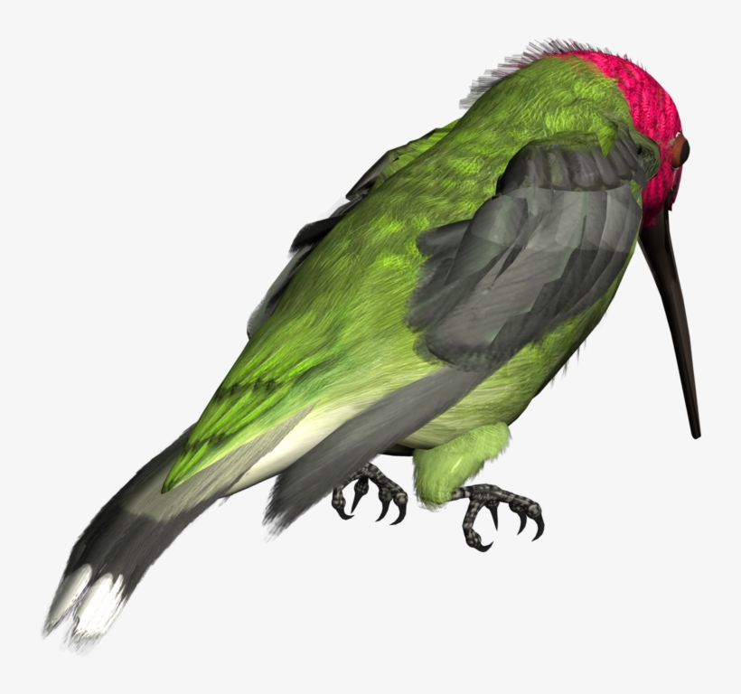 Hummingbird Png Picture - Clip Art, transparent png