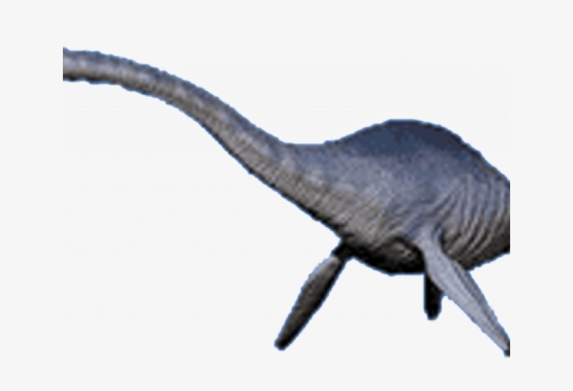 Sea Monster Clipart Transparent Background - Sea, transparent png