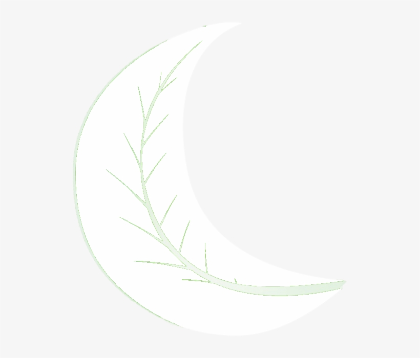 Moon, transparent png