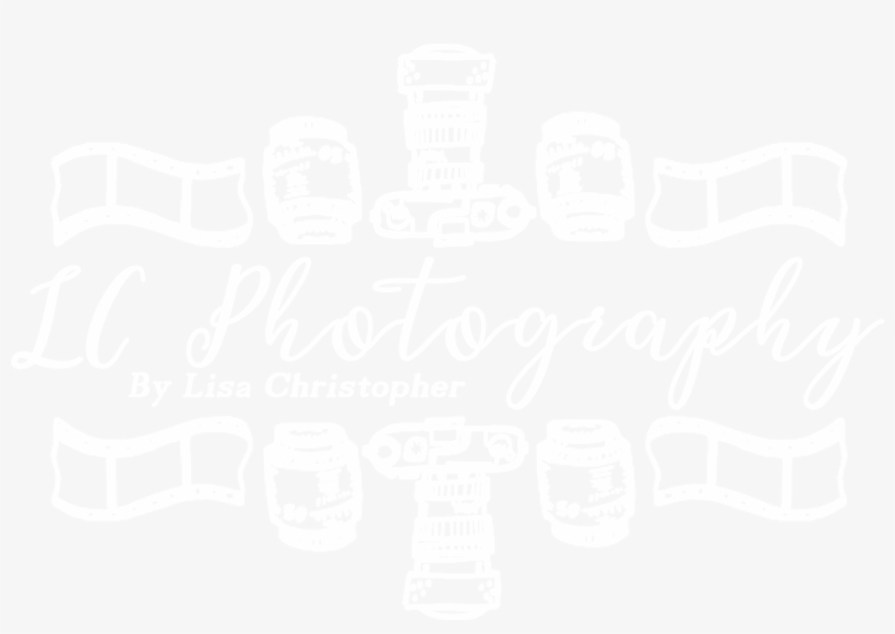 Lisa Christopher - Wordpress Logo White Png, transparent png