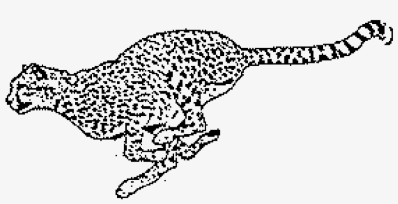 Cheetah Rubber Stamp - Stamps Direct - Rubber Stamps & Accessories, transparent png