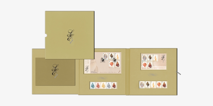 New Zealand Native Seashells Limited Edition - Sketch Pad, transparent png