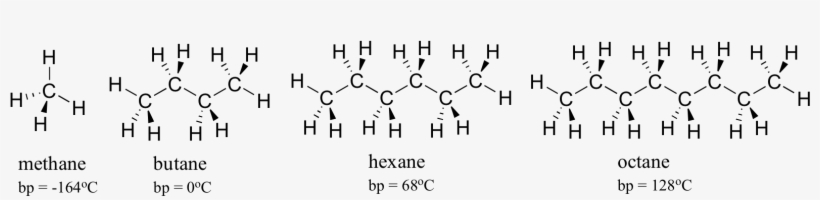 Image138 - Lipid Molecule, transparent png