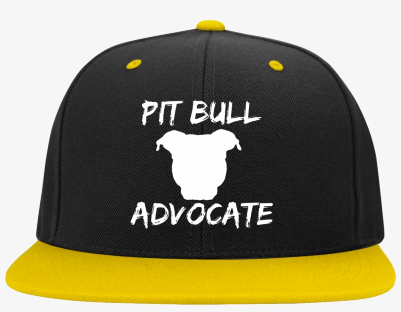 Pit Bull Advocate - Nissan Gtr Stc19 Sport-tek Flat Bill High-profile Snapback, transparent png