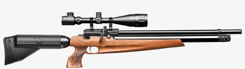 Puncher Pitbull - Puncer Pitbull, transparent png