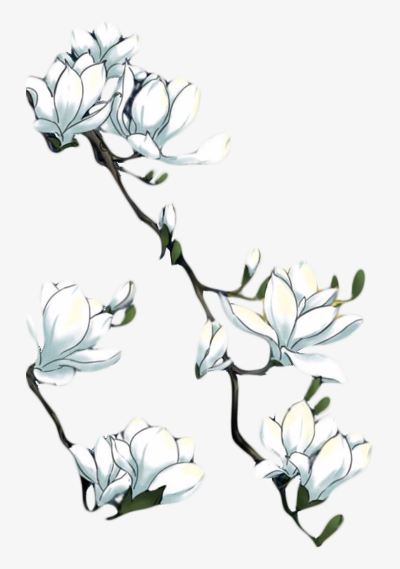 Hand Painted Magnolitransparent Decorative Element - Portable Network Graphics, transparent png