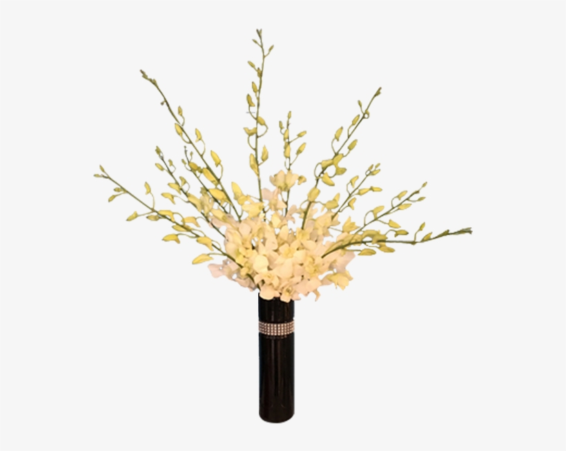 Dazzling Orchids - Orchids, transparent png