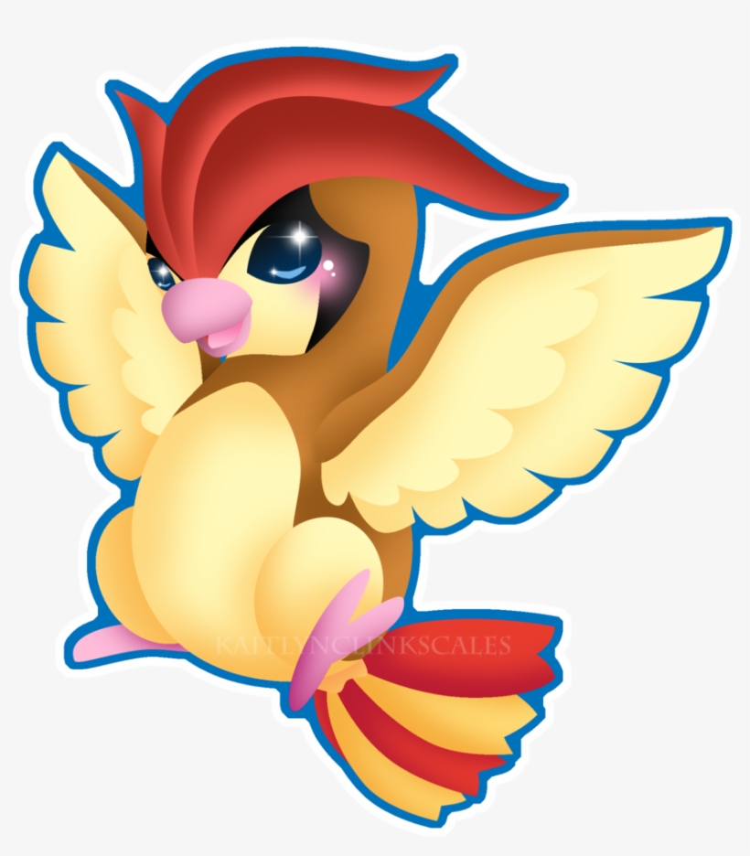 017 Pidgeotto - Baby Pidgeotto, transparent png