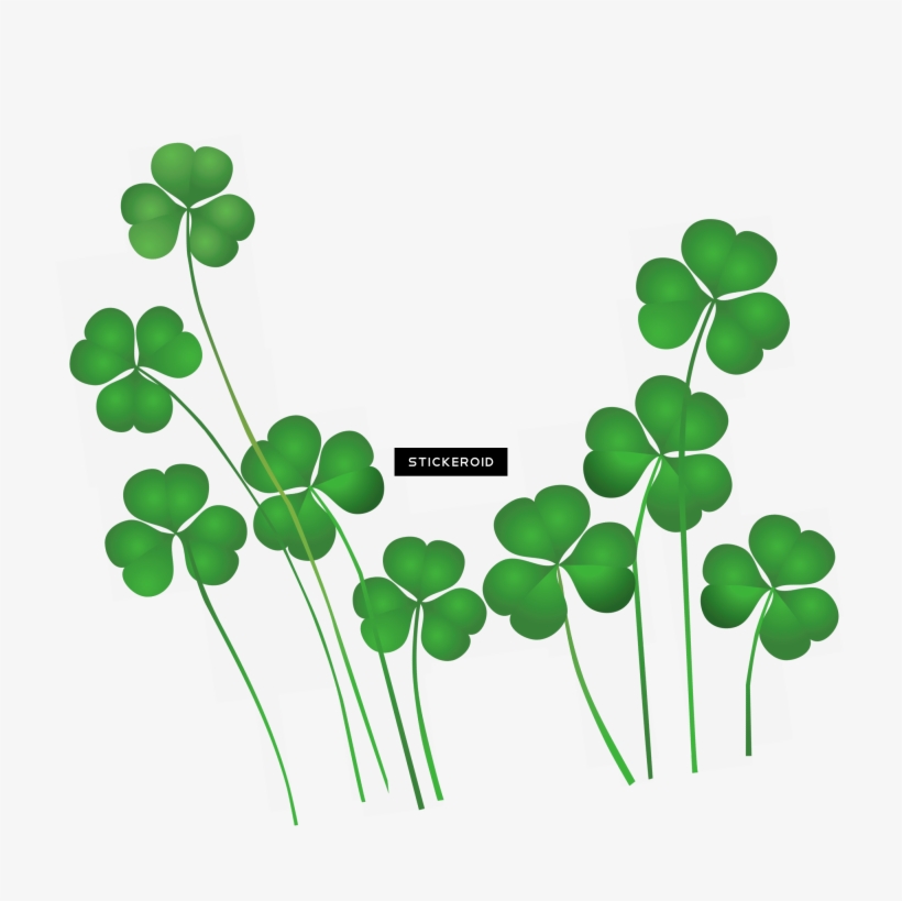 Saint Patrick's Day - Shamrock Png, transparent png