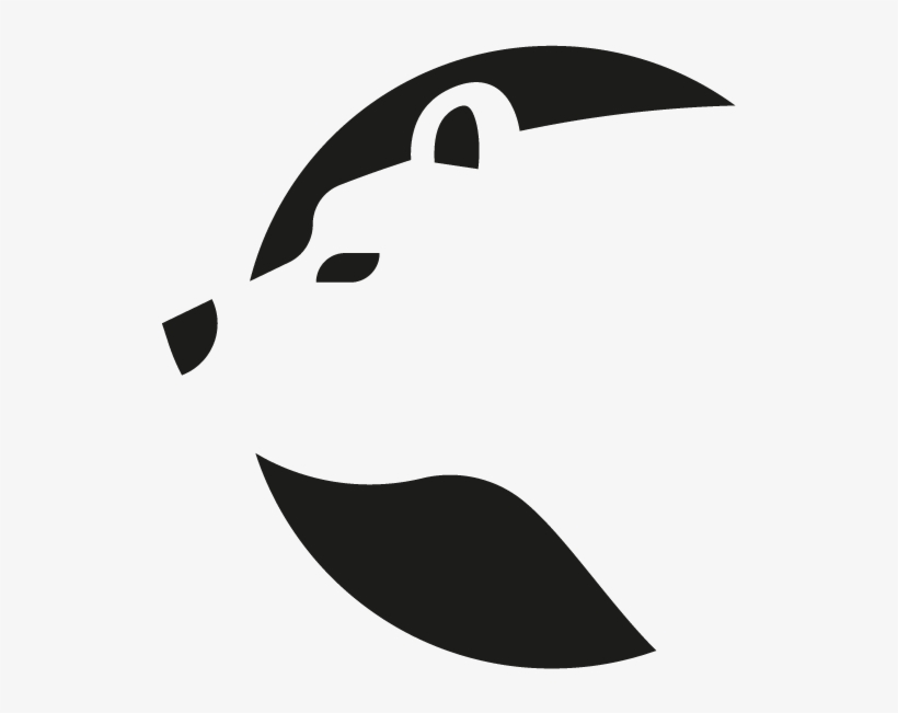 Bear Cleaning Services - United States Of America, transparent png