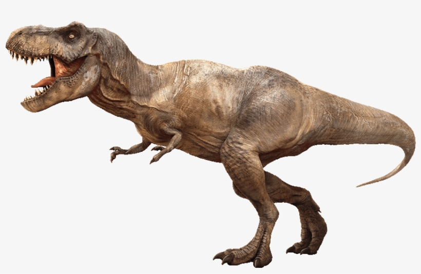 Tyrannosaurus Rex Detail Header - Tyrannosaurus Rex Rexy, transparent png