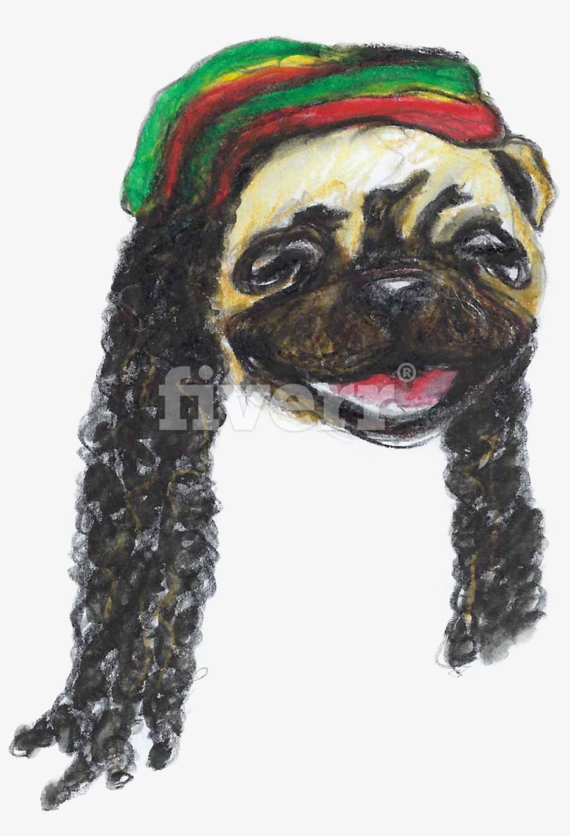 Pug, transparent png