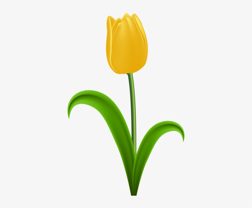 Yellow Tulip Transparent Png Clip Art - Yellow Tulip Clipart, transparent png