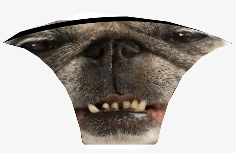 Pugface - Pug Dog Looks Stoned Journal, transparent png