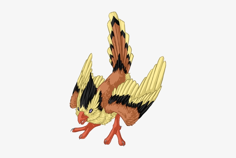 Mmppidgey - Domesticated Turkey, transparent png