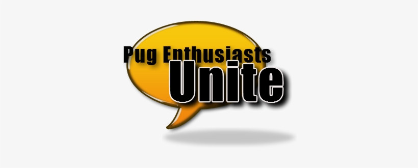 Pug Face Pug Forum - Graphic Design, transparent png