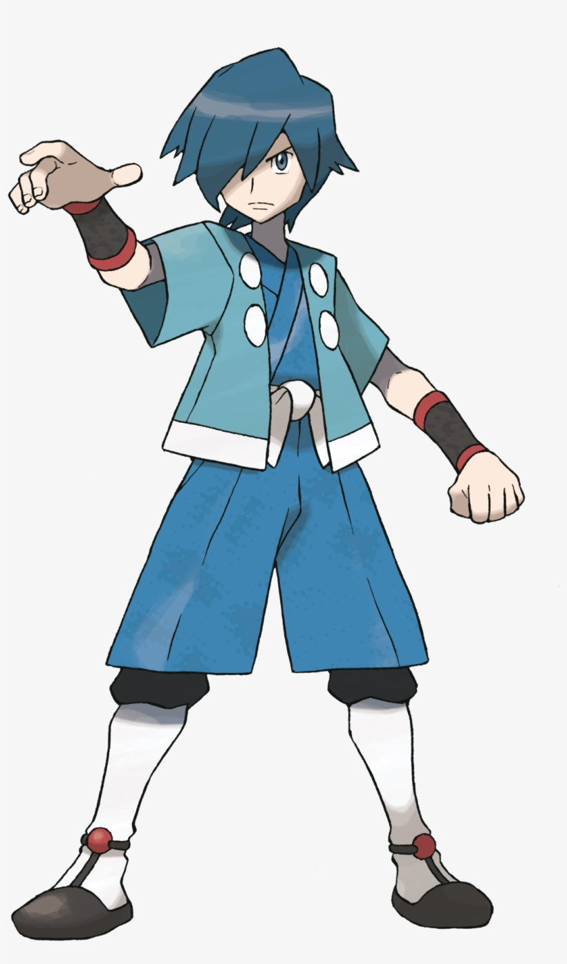 Falkner Pokemon, transparent png