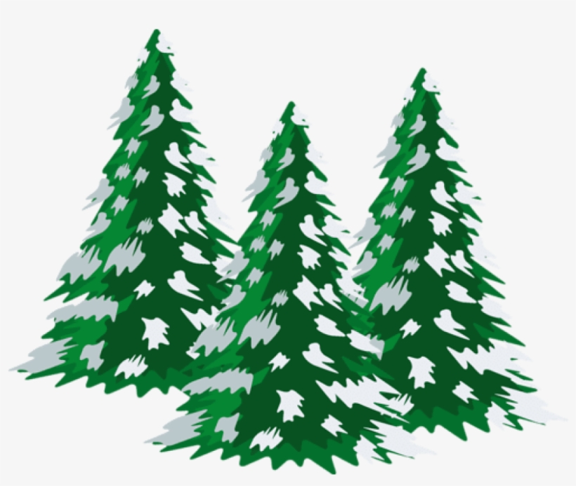 Bright Wallpapers - Snowy Trees Clipart Png, transparent png