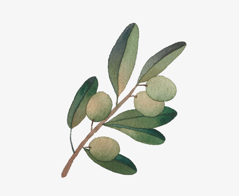 Retreat - Olive, transparent png