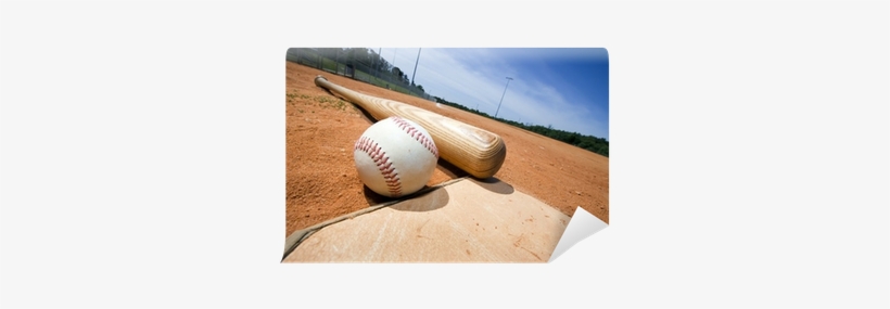 Wood To Baseball Bat, transparent png