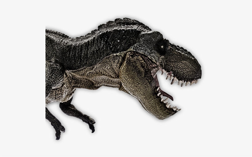 All Hail The King - Velociraptor, transparent png