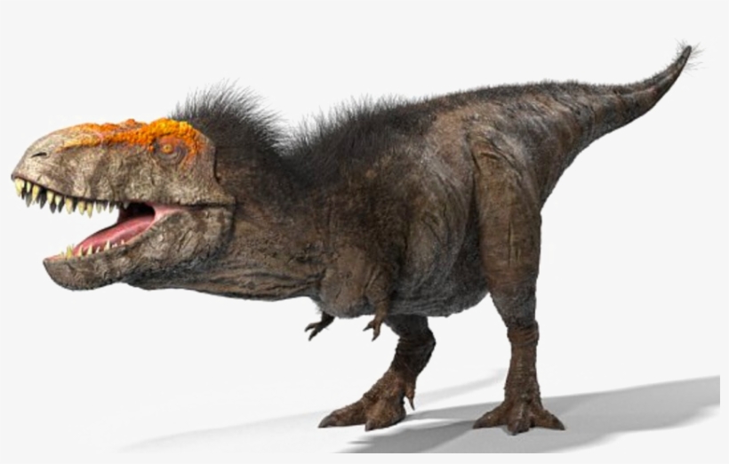 T Rex Png Clipart - Real T Rex, transparent png
