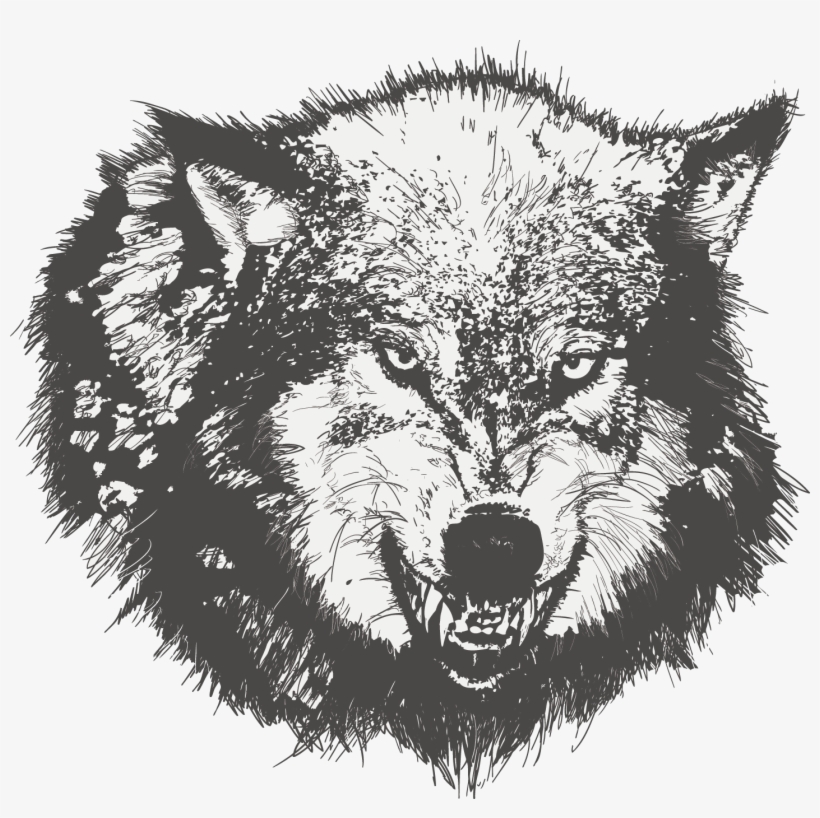 Dog Drawing Black Wolf Sketch Painted Transprent - Wolf Angry Face Vector, transparent png